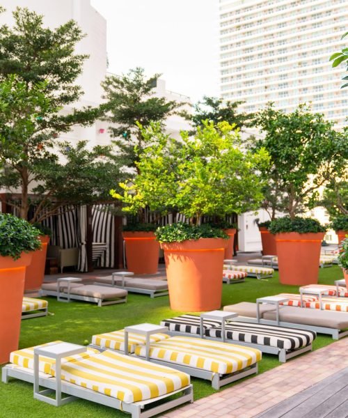 429739221_18340240339099201_6380470601127488449_n