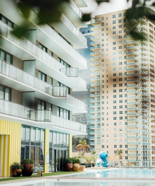 432923838_1519151465682017_6583797870395908561_n